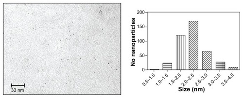 Figure 1 Transmission electron microscopic image of monodispersed 1.9 nm Aurovist™ gold nanoparticles.Note: Normal distribution of gold nanoparticle size variation, with a median particle size ranging between 2.0 nm and 2.5 nm.