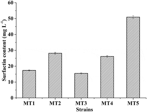 Figure 5. Surfactin production by different Bacillus strains using Luria–Bertani (LB) broth