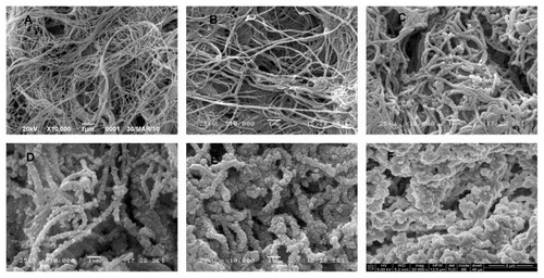 Figure 3 Luminal surface ultrastructure of scaffolds. (A) SEM image of unmodified scaffold (10,000×). (B) SEM image of a scaffold modified by one cycle of heparin/DHI (10,000×). (C) SEM image of scaffold modified by four cycles of heparin/DHI (10,000×). (D) SEM image of scaffold modified by seven cycles of heparin/DHI (10,000×). (E) SEM image of scaffold modified by ten cycles of heparin/DHI (10,000×). (F) SEM image of scaffold modified by one cycle of heparin/DHI (20,000×).Abbreviations: DHI, dihydroxy-iron; SEM, scanning electron microscope.