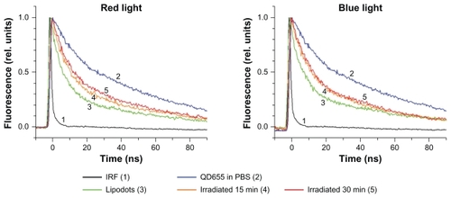 Figure 7 The effect of irradiation with red or blue light on fluorescence decay of lipodots. The fluorescence decay of QD655 is shown for comparison (curve 2). The same sample of lipodots was irradiated for 15 minutes (curve 4) and then for an additional 15 minutes (curve 5) for a total of 30 minutes either with the red or blue light. The curves are averages of three separate measurements. The fluorescence decay of the irradiated lipodots remained unchanged when measured 24 hours after the irradiation. See supporting material for calculated fluorescence decay times.Abbreviations: IRF, infrared fluorescence; PBS, phosphate buffered saline.