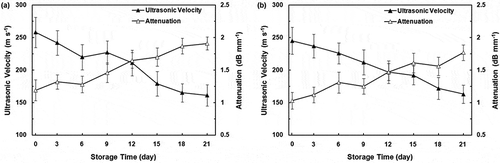 FIGURE 3 Changes of ultrasonic velocity and attenuation in “Shomali;” A: and “Karaj;” B: persimmons during storage time. Error bars show one standard deviation from the mean.