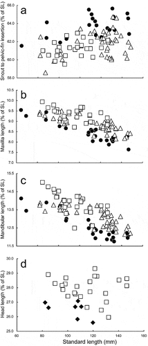 Figure 11. Relationships of (a) distance from snout to pelvic-fin insertion (as % of standard length; SL), (b) maxilla length (as % of SL), (c) mandibular length (as % of SL), and (d) head length (as % of SL) to SL in Dussumieria elopsoides (diamonds), D. hasseltii (circles), D. modakandai (triangles), and D. productissima (squares).