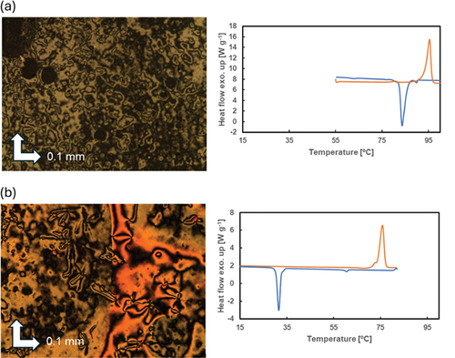 Figure 2. (Colour online) (a) A POM image at 86°C during cooling (left) and DSC thermograms (right) of 2T8. (b) A POM image at 45°C during cooling (left) and DSC thermograms (right) of 2T8[3F].