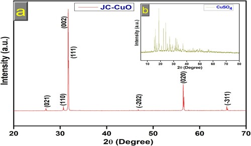 Figure 4. (a) XRD spectra of CuONPs (b) inset of copper sulphate XRD spectra