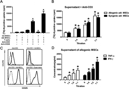 Figure 5. The effect of the supernatant of adi-MSCs cultures on T-lymphocyte proliferation and activation. (A) T cells were cultured with ud- or adi-MSCs at a ratio of 1∶1, in the absence or presence of anti-CD3 Ab (2 μg/ml). (B) Various titrations of the supernatant of adi-MSCs were added into T-cell culture in the presence of anti-CD3 Ab. After culture for 3 days, T-cell proliferation was determined by [3H]-thymidine incorporation. (C) Activation of T cells was determined. Allogeneic T cells were incubated for 3 days with ud- and adi-MSCs, and the supernatant of adi-MSCs in the presence of anti-CD3 Ab, and stained for the surface expression of the activation maker CD25. Dashed lines indicate isotype-matched IgG antibody control staining. (D) The level of pro-inflammatory cytokines secreted by T cells. T cells were incubated for 3 days with various titrations of the supernatant of adi-MSCs in the presence of anti-CD3 Ab, and pro-inflammatory cytokines IFN-gamma and TNF-alpha in the culture were determined by ELISA. *P<0·01, compared to the control group.