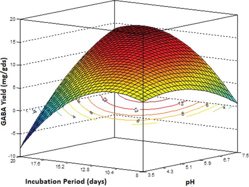 Figure 6. Three-dimensional response surface plot and contour plot showing the effect of pH and incubation period on γ-aminobutyric acid (GABA) yield (mg/gds) while keeping monosodium glutamate (MSG) concentration at its central level.