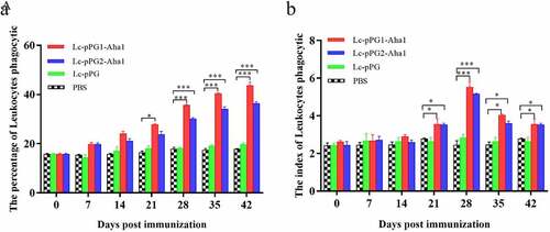 Figure 5. Leukocyte phagocytosis percentage and leukocyte phagocytic index in the serum (n = 5 fish/group) of fish vaccinated by Lc-pPG1-Aha1, Lc-pPG2-Aha1, Lc-pPG and PBS. Data are presented as mean ± SD fold increase relative to PBS control. *: p <0.05, **: p <0.01, ***: p <0.001.