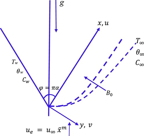 Figure 1. Diagrammatic representation of the current model.