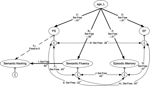 Figure 3. Structural model M3, including parameter estimates of the structural relations (*p < .05; **p < .01) (see also Table 4, section I): age-related decline of episodic memory and semantic fluency, and indirect decline of semantic naming (via age-related decline of semantic fluency), in parallel to age-related decline of processing speed (PS) and executive functioning (EF), with increasing age.