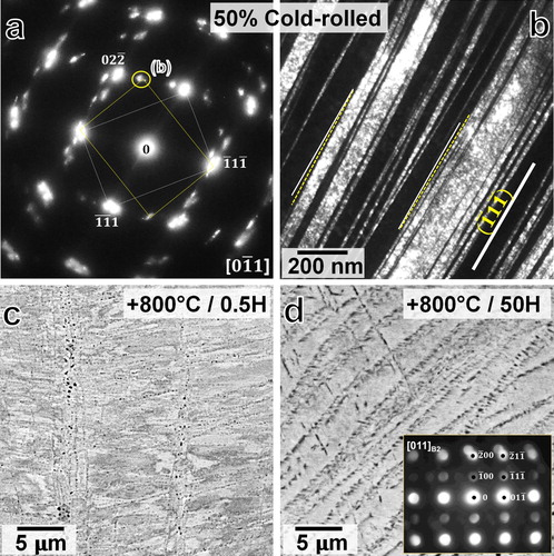 Figure 1. TEM of the cold-rolled condition: (a) SADP pattern recorded along the [011]fcc zone axis, and (b) the corresponding dark-field TEM (DFTEM) showing deformation twins. BSE of microstructures after annealing at 800°C for (c) 0.5 H (30 mins) and (d) 50H. The inset in (d) shows [011]B2 micro-diffraction pattern.