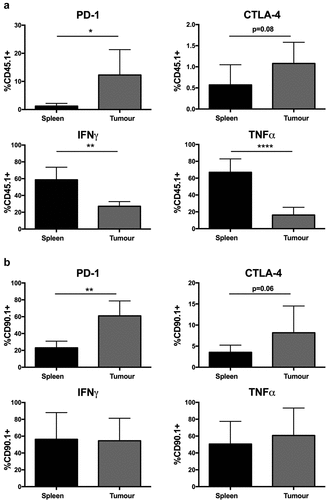 Figure 2. ACT T cells exhibit reduced effector function in escaping melanoma. The frequency of PD-1 or CTLA-4 expression on transferred T cells (CD8+CD45.1+/CD90.1+) in the spleens and tumors of C57Bl6 (a) or BALB/c (b) mice. Frequency of IFNγ and TNFα producing transferred T cells, upon ex vivo re-stimulation, in the spleens and tumors of C57Bl6 (a) or BALB/c (b) mice. All samples were analyzed 14 days after treatment with ACT. Error bars represent the mean ± SD. Data show pooled animals from two independent experiments (total animal number (a) n = 7 and (b) and n = 8). Samples from spleen and tumor were compared using a paired t-test * = p < .05, ** = p < .01, **** = p < .0001.