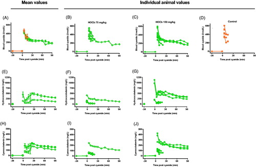 Figure 7. Pharmacokinetics of cyanide, hydroxocobalamin, and cyanocobalamin. Mean (SEM; A, E, H) and individual animal (B–D, F and G, I and J) concentrations of blood cyanide (µmol/L CN−, A–D), plasma hydroxocobalamin (mg/L, E–G), and plasma cyanocobalamin (mg/L, H–J) after administration of 75 (B, E, I) or 150 (C, F, J) mg/kg hydroxocobalamin or (D) plasma placebo.