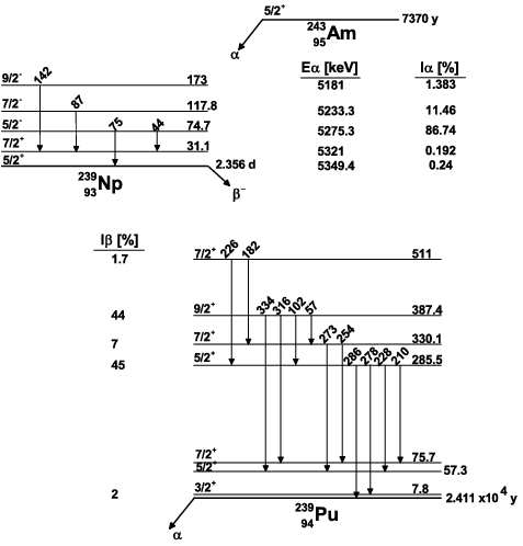 Figure 3. Simplified decay scheme of 243Am. Alpha-ray energies and intensities are described. Transition intensities by beta minus decay are also shown [Citation30].