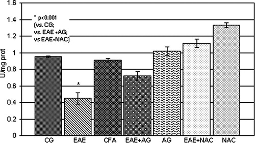 Figure 5. SOD activity (U/mg prot.) in the rat WEM. CG – control group; EAE – rats with experimental autoimmune encephalomyelitis; CFA – rats treated with complete Freund's adjuvant; EAE + AG – EAE rats treated with aminoguanidine; AG – rats treated with aminoguanidine; EAE + NAC – EAE rats treated with N-acetyl-l-cysteine; NAC – rats treated with N-acetyl-l-cysteine.