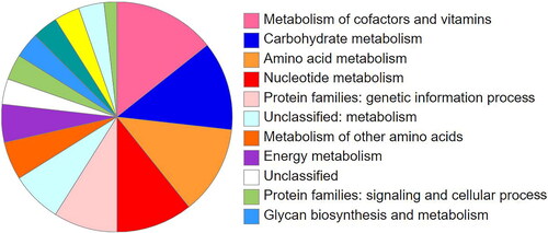 Figure 3. Pie charts showing the fractions of the functional groups in the identified HGT gene sets.