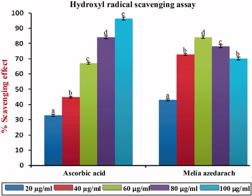 Figure 2. Hydroxyl radical scavenging effect of MA with different concentrations in comparison with standard ascorbic acid. Values are given as mean ± SD of six replicates in each group. Bar values are sharing a common superscript (a,b,c) differ significantly at p < 0.05 DMRT.