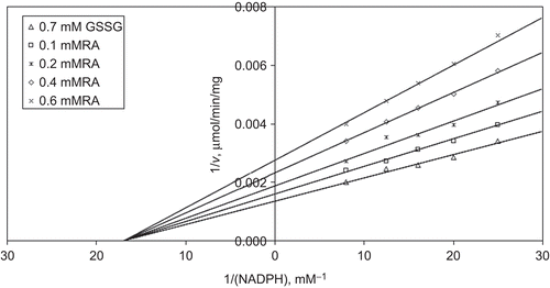 Figure 3.  Inhibition kinetics of bovine kidney cortex glutathione reductase (GR). Lineweaver–Burk double reciprocal plot of initial velocity against NADPH as varied substrate and rosmarinic acid (RA) (0.1–0.6 mM) as inhibitor at different fixed oxidized glutathione (GSSG) (0.7 mM) concentrations.