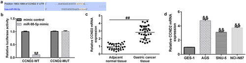 Figure 5. Identification of CCND2 as a downstream target of miR-98-5p in gastric cancer.