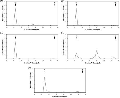 Figure 2. Hexuronic acid profile assessment for gingival proteoglycan molecular size, following ROS treatment for 24 h and separation by Superdex 75HR 10/30 gel filtration chromatography, incorporated into a FPLC System. (A) Untreated gingival proteoglycan controls. (B, C) Gingival proteoglycans exposed to 20 mM and 60 mM H2O2, respectively. (D) Gingival proteoglycans exposed to an ·OH flux (60 mM H2O2, 1.67 mM FeCl3). (E) Gingival proteoglycans exposed to an ·OH flux (60 mM H2O2, 1.67 mM FeCl3), with ·OH scavenger and transition metal ion chelator, thiourea (33 mM). Vo, column void volume; Vt, total column volume. n = 3 independent experiments. For all analyses, chromatographic profiles from one representative experiment of three are shown.