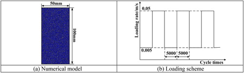 Figure 4. Numerical model and loading scheme. (a) Numerical model (b) Loading scheme.