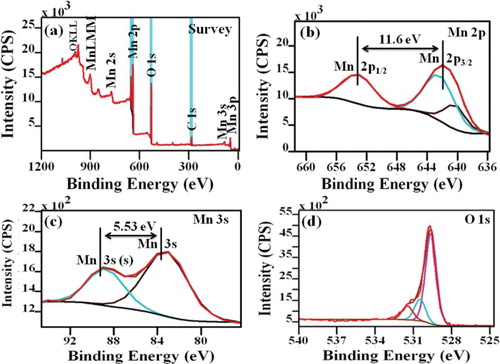 Figure 3. XPS (a) Survey spectrum, (b) deconvolution spectra of Mn 2p, (c) deconvolution spectra of Mn 3s and (d) deconvolution spectra of O 1s for Mn3O4 nanoparticles.