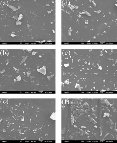 Figure 10. SEM images of water-quenched slags: (a) W-0, (b) W-5, (c) W-10, (d) W-15, (e) W-20, and (f) W-25.