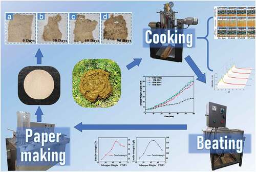 Figure 1. The process of Cow dung paper making.
