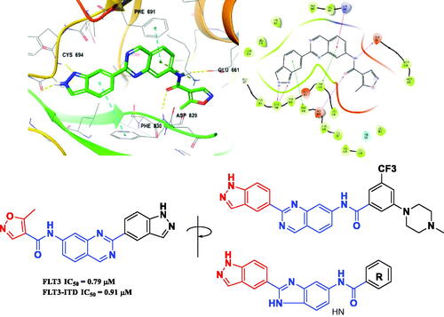 Figure 3. Docking structures of a quinazoline derivative with an indazole fragment in FLT3 (PDB: 4RT7) and Design of a benzimidazole analog with an indazole moiety from studies on the binding mode of a previous FLT3 inhibitor.