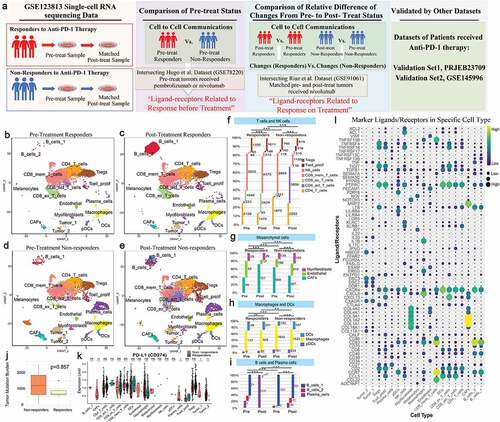 Figure 1. Study overview, analysis of the tumor microenvironment in patients before and after anti-PD-1 treatment with scRNA-seq, and marker ligands/receptors in specific cell types