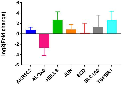 Figure 13 RT-qPCR validation of SLC1A5, ALOX5, JUN, HELLS, TGFBR1, AKR1C3 and SCD in tissues samples.