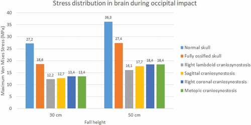 Figure 17. Maximum Von Mises stress in the brain during occipital impact from 30 and 50 cm falls with different degrees of ossification in the sutures