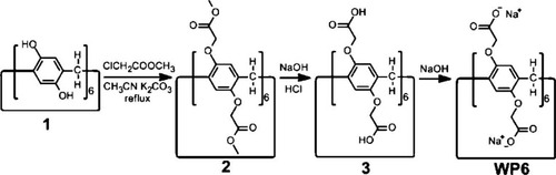 Figure 3 Synthetic route to WP6.Notes: Reprinted with permission from Yu GC, Xue M, Zhang ZB, et al. A water-soluble pillar[6]arene: synthesis, host−guest chemistry, and its application in dispersion of multiwalled carbon nanotubes in water. J Am Chem Soc. 2012;134:13248–13251.Citation38; Copyright 2012, American Chemical Society.