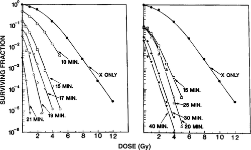 Figure 5. Survival versus radiation dose for non-tolerant (left) and thermal tolerant (right) CHO cells. For the non-tolerant cells, synchronous cells in G1 were either irradiated at 37°C or were heated (▵) for 10–21 min at 45.5°C and then incubated for 10 min at 37°C before they were irradiated at 37°C. For the thermal tolerant cells, synchronous cells in G1 were heated at 45.5°C for 15 min and then incubated at 37°C for 18 h before they were either irradiated at 37°C or were heated (▵) for 15–40 min at 45.4°C and then incubated for 10 min at 37°C before they were irradiated at 37°C. During the 18-h period, heat-induced delay in G1 prevented the cells from progressing into S phase. Left, ΔX; right 45.5°C-15 min − (18 h) ΔX.