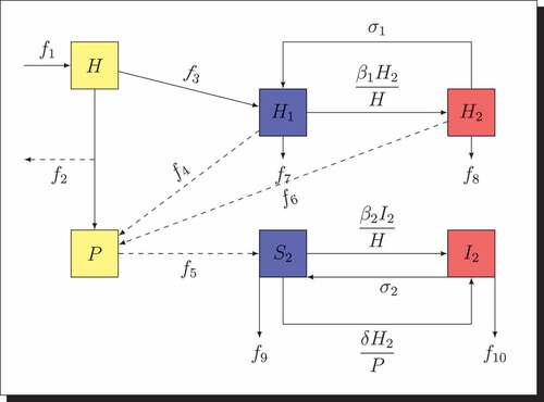 Figure 2. Interaction diagram for the prey-predator model when the disease spreads in the two populations.