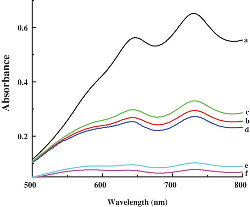 Figure 7. Absorption spectra of ABTS+ in different samples. (a) ABTS+ alone; (b) ABTS+ with casein micelles; (c) ABTS+ with casein–dextran conjugate micelles; (d) ABTS+ with curcumin; (e) ABTS+ with curcumin and casein micelles; (f) ABTS+ with curcumin and casein–dextran conjugate micelles.