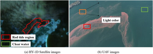 Figure 1. RS images captured from the HY-1D satellite and UAV platforms.