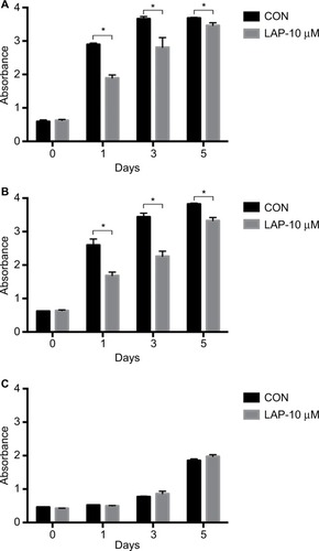 Figure 4 Lapatinib inhibits the activity and proliferation of SM-AP1 (A) and SM-AP4 (B) cells, but not those of normal fibroblasts (C).Note: *Significant at P<0.001.Abbreviation: CON, control group.