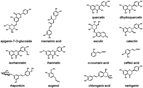 Figure 1. Chemical structures of natural phenolics tested against ARGLi activity.