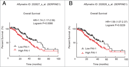 Figure 1. Correlation of PAI-1 mRNA expression with survival of patients with ovarian cancer. Microarray expression data for 2 probe sets representing SERPINE1 (A: 202627_s_at, and B: 202628_s_at) were used to generate Kaplan–Meier survival curves for high expression (defined as cancers with values above the median) or low expression for ovarian cancers. Data were analyzed using GraphPad Prism.