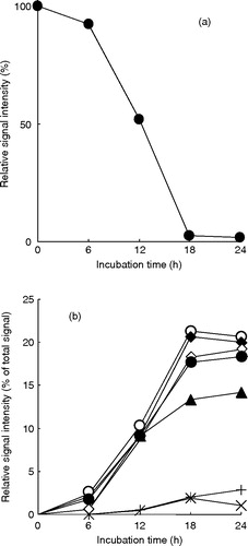 Figure 2.  Degradation of D-[1-13C]-mannitol (•) (a) and the evolution of 13C-labeled short-chain fatty acids (b). ○, [3-13C]-propionate; ♦, [2-13C]-butyrate; ⋄, [4-13C]-butyrate; •, [2-13C]-propionate; ▴, [2-13C]-acetate; Display full size, [2-13C]-valerate; Display full size, [3-13C]-butyrate.