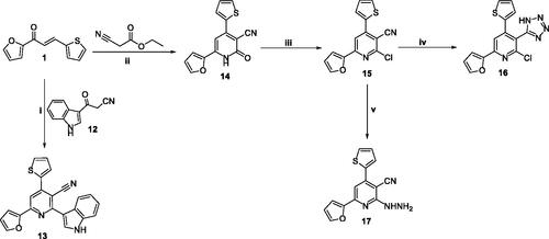 Scheme 2. The detailed synthesis of the pyridine derivatives (14–17); Reagents and conditions: i) Amm. acetate, Acetic acid, reflux 12 h; ii) Amm. acetate, butanol, reflux 5 h; iii) POCl3, PCl5, heating 10 h; iv) NaN3, DMF, reflux 8 h; ii) NH2NH2, dioxane, reflux 12 h.