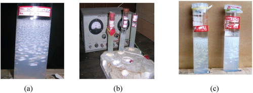 Figure 2. Photographs of prepared CaTT crystals (a) pure CaTT (b) CaTT-electric (c) CaTT-magnetic.