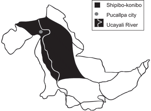 Figure 2.  Distribution of Shipibo-Konibo ethnic group in Ucayali Department, Peru (adapted from CitationPimentel et al., 2004).