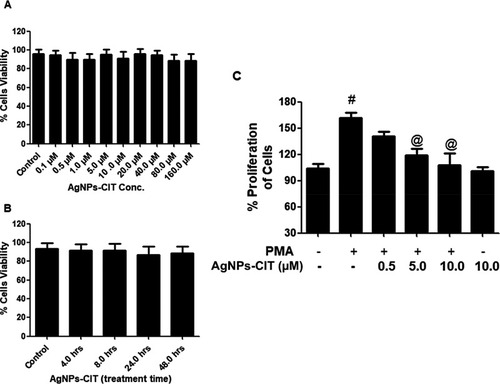Figure 5 (A) Effects of AgNPs-CIT concentration (0.1–160 µM) on viability of MCF-7 cell lines. (B) Effects of AgNPs-CIT treatment time (4–48 hours) on viability of MCF-7 cell lines. (C) Effects of AgNPs-CIT on the proliferation of PMA-stimulated MCF-7 cell lines. MCF-7 cell lines were pretreated with AgNPs-CIT NP (0.5–10 µM) for 2 hours before stimulation with PMA (0.5 µM). #p<0.01 versus untreated cells; @p<0.01 versus PMA alone treated MCF-7 cells.