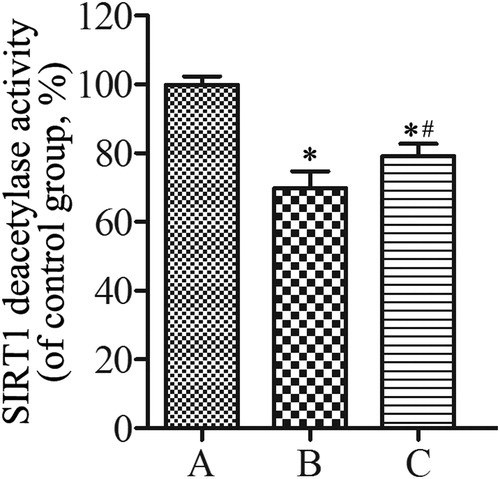 Figure 8. SIRT1 deacetylase activity of lung tissues from control group (A), emphysema group (B), and emphysema + SRT2104 group (C). All analyses were performed in triplicate. Values are presented as mean ± SD (n = 15). *p < 0.05 vs. group A; #p < 0.05 vs. group B.