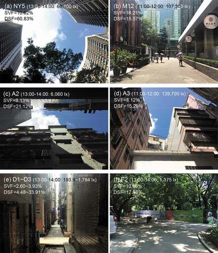 Figure 13. Example of effects of sunlight interception and penetration during the daytime: (a) Site YN-Space NY5; (b) Site JB-Space M12; (c) Site A-Space A2; (d) Site A-Space A3; (e) Site D-Space D1, D2 and D3; (f) Site F-Space F2 (source: photographed by authors).