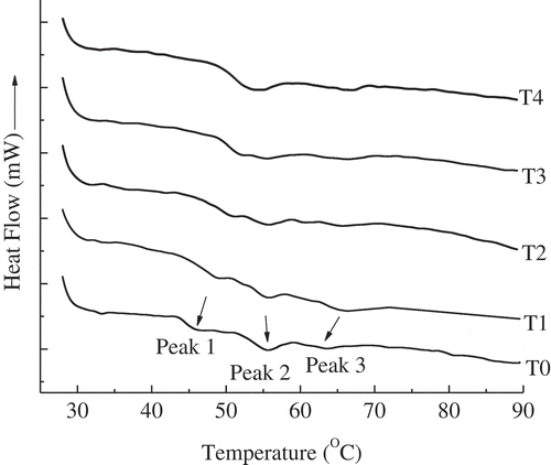 Figure 3. Differential scanning calorimetry (DSC) thermograms of pork salt-soluble proteins (SSP) with various BSDF concentrations. BSDF: bamboo shoot dietary fibre.BSDF: bamboo shoot dietary fiber; T0: SSP; T1: SSP+1% BSDF; T2: SSP+2% BSDF; T3: SSP+3% BSDF; T4: SSP+4% BSDF.Figura 3. Termogramas de calorimetría diferencial de barrido (DSC) de proteínas de cerdo solubles en sal (SSP) con diversas concentraciones de BSDF. BSDF: fibra dietética de brotes de bambú.