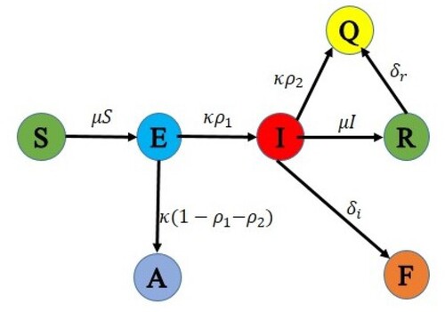 Figure 4. The progression of the dynamic of SEAIQRF model.