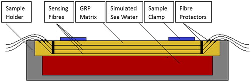 1 Schematic of vinyl ester/GRP sample containing embedded optical sensors, in sample holder for exposure testing (single side exposure configuration)