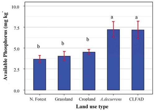 Figure 6. Mean values of available phosphorus across soils of different land use types at top half meter of the soil layer in Guder watershed